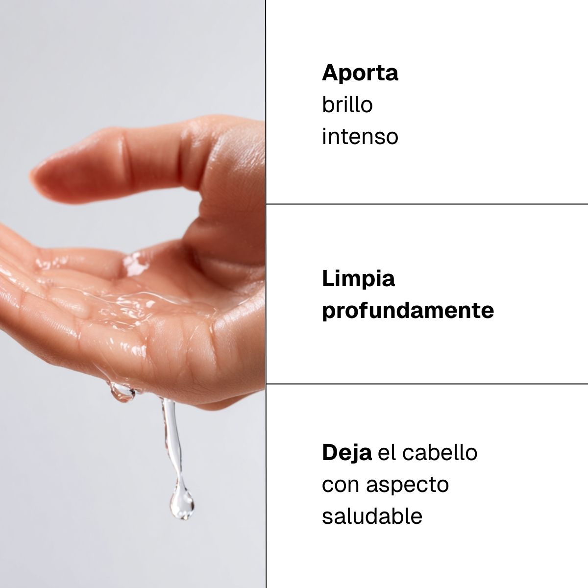 Champú brillo