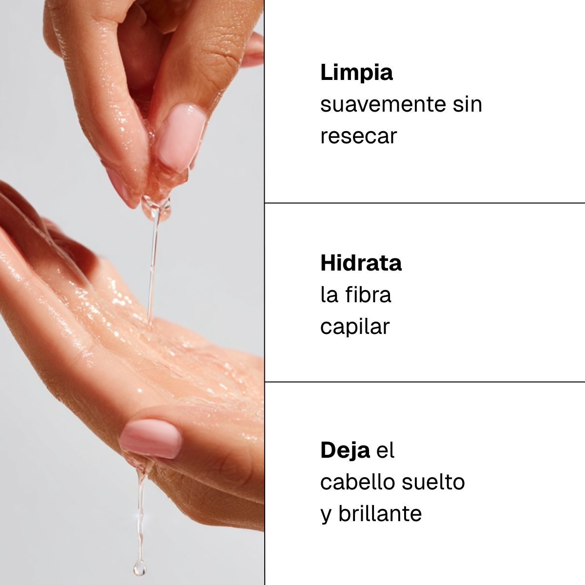 Champú hidratante con Aloe Vera