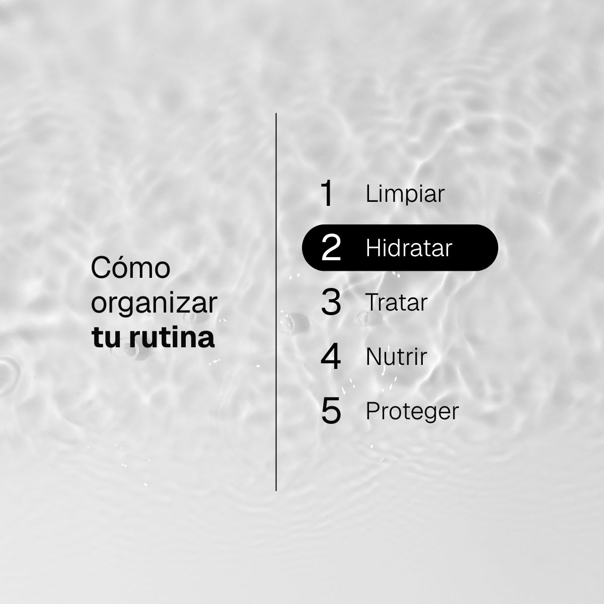 Tónico purificante